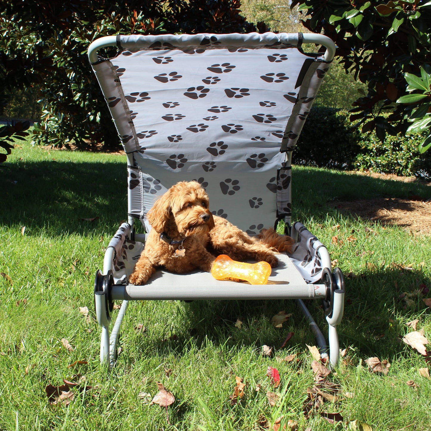 Matte Dog-Bed S grigio