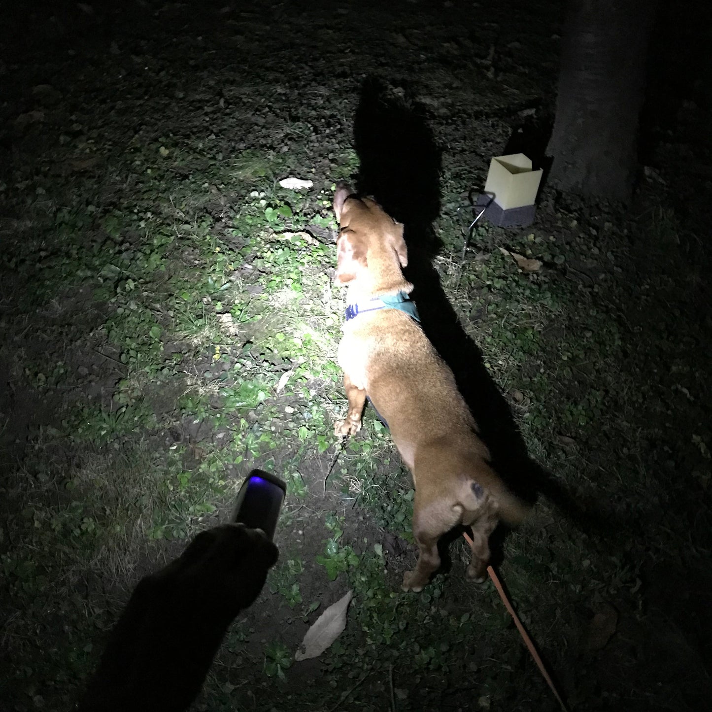 Outdoor and Campinglight X5 mini