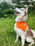 Dog-Bed Hundehalstuch orange/grau
