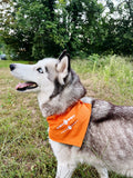 Dog-Bed bandana pour chien orange/gris