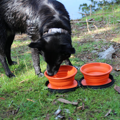 Dog-Bowl - Foldable set 