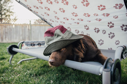 Dog-Bed Large