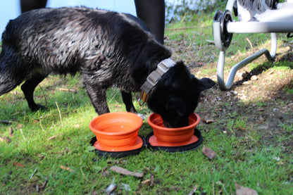 Dog-Bowl - Faltbarer Futternapf - 2er Set